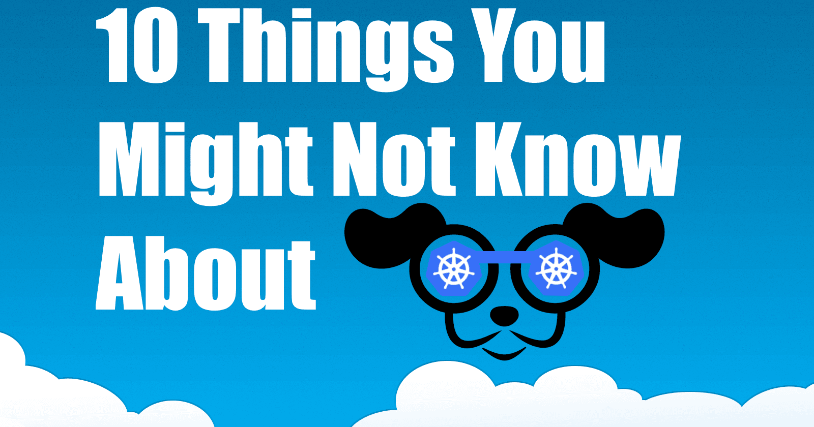 10 Things You Might Not Know About K9s